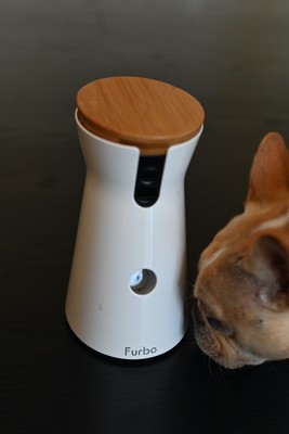 furbo cat treats