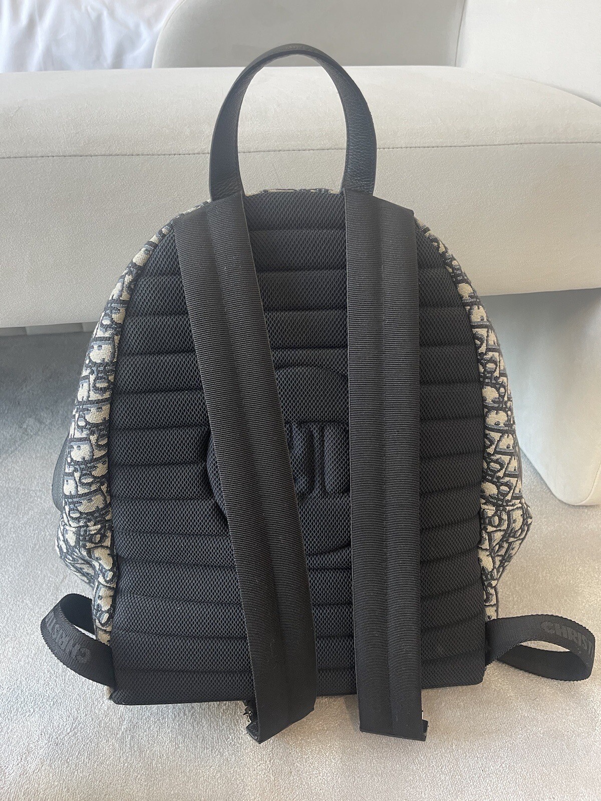 Dior Bag eBay