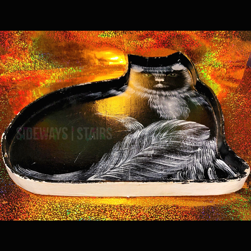 Feral Cats My Cat From Hell Season Episode 12 VINTAGE BLACK CAT