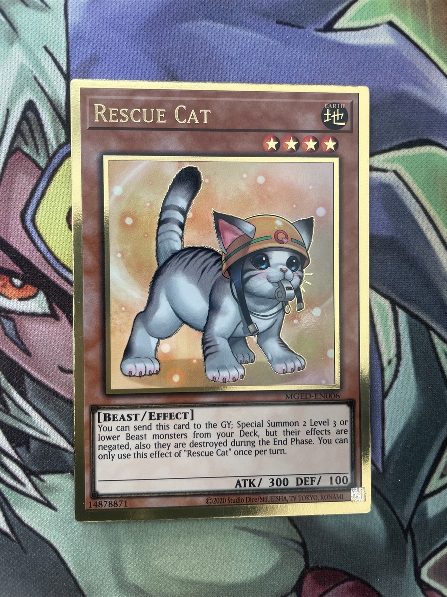 troll and toad pokemon cards Dark Gengar - 6/105