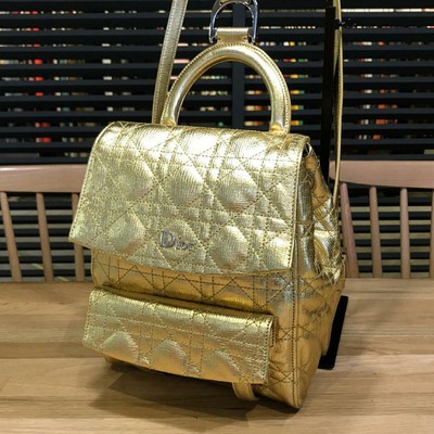 dior stardust backpack