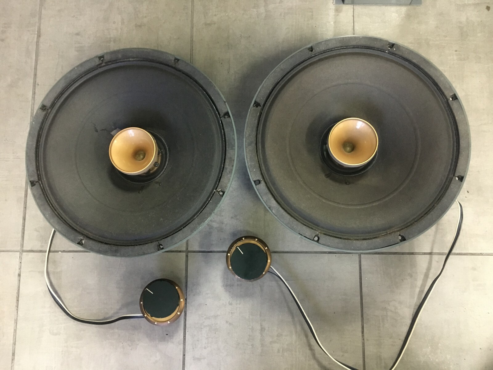 Pioneer PAX 30C 12 inch Speakers Pair