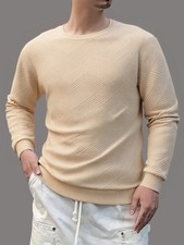 Men's Long Sleeve Crew Neck Sweatshirt Casual Solid Color Basic Pullover Spring