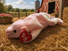 TY beanie baby Squealer the Pig BBOC 