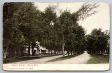 Liberty Street Residential Houses Two Lanes Dirt Ripon WI C1908 Postcard W2
