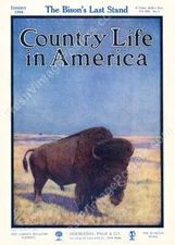 buffalo bison great art Jan 1908 Country Life magazine cover NEW poster 18x24
