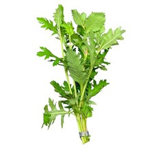 Water Wisteria Hygrophila difformis