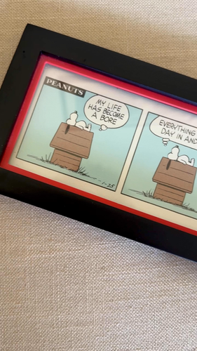 Peanuts Cartoon Snoopy framed art picture print Hallmark Charles Schulz Doghouse - Video 1 of 1