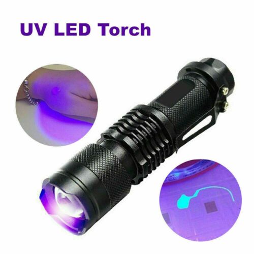 UV Ultra-Violet LED Flashlight Blacklight Light 395/365nM Lamp Torch A3GE - Bild 1 von 18