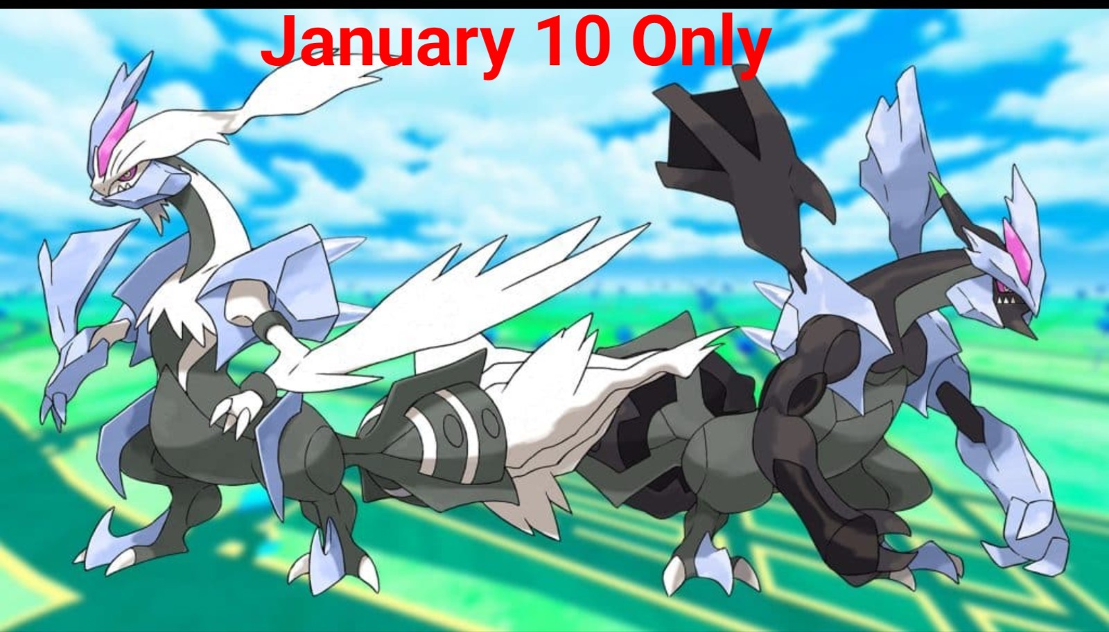  10x Kyurem Weiß oder Kyurem Schwarz Raid Pokemon Raid Go 1/10/26