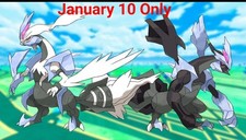  10x Kyurem White Or Kyurem Bllack Raid Pokemon Raid Go 1/10/26