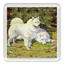 SAMOYED Dog Acrylic Coaster Novelty Drink Cup Mat Great Gift