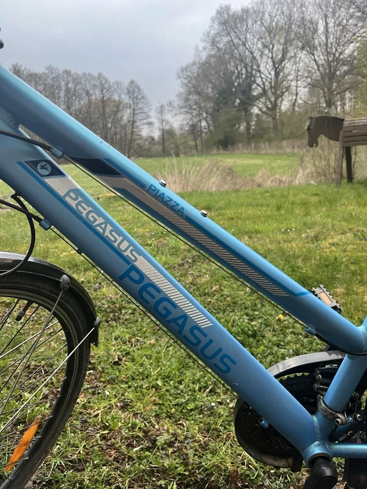 pegasus piazza - Bild 4 von 4