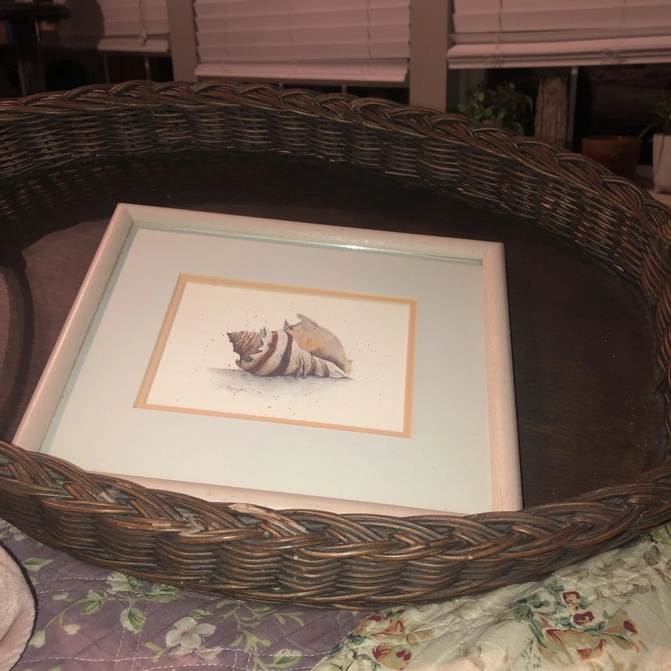 D Morgan Light Wood Framed Conch Seashell Prints (2) Beach Coast Shore Nautical - Image 2 of 4