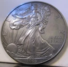 2009 Silver American Eagle  Toned