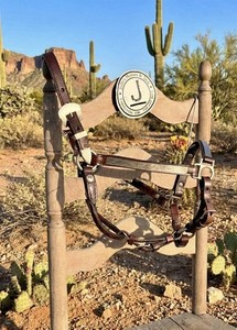 Circle Y Silver Show Halter- Mare, Supple, Quality 🏆