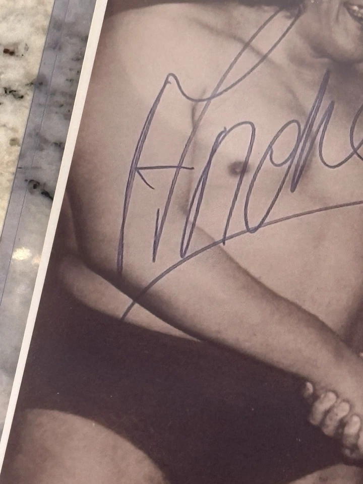 Firmas fotográficas de Andre el Gigante y Bruno Sammartino no autenticadas - De colección Foto 4 de 4