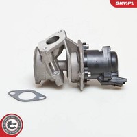 Esen SKV Agr-Ventil 14SKV027 FüR CitroËN Ford Peugeot Toyota