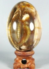 PETRIFIED WOOD AGATE Crystal Egg With Rose Wood Stand From Madagascar