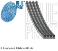 Blue Print AD04R648 Keilrippenriemen Keilriemen FüR Nissan