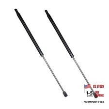 2 Pcs 22.04 in Liftgate Trunk Struts Lift Supports Compatible with Lincoln