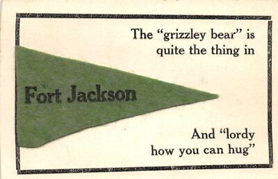 H65/ Fort Jackson New York Felt Pennant Postcard c1912 Grizzley Bear 131