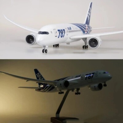 ANA Boeing 787 Model Airplane 1/130 Scale 47CM Premium Quality 