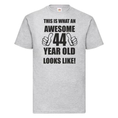 44th 44 Years Old Forty Fourth Birthday Presents Mens Funny Awesome T-Shirt