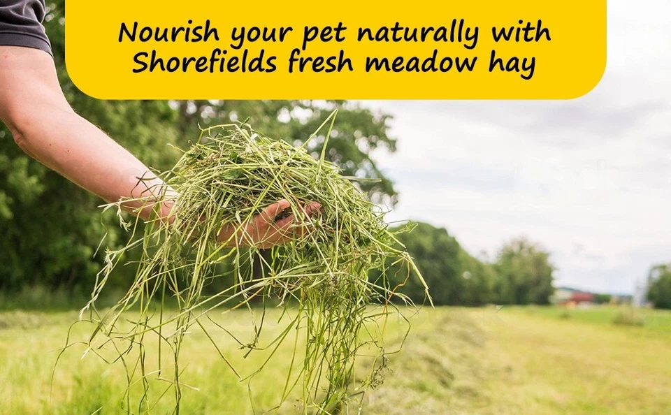 Shorefields Fresh Meadow Hay bale, pet, rabbit, horse, large bale, - Image 2 of 4