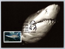#5713n National Marine Sanctuaries Sand Tiger Shark FDC Maxi Card w/Pictorial
