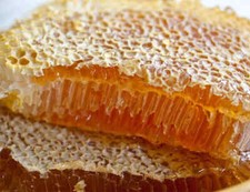 Unpasteurized FRESH Honey Comb Wild Flower Direct from the BEE Farm pure raw