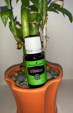 Young Living Essential Oils Citronella 15 Ml New Sealed