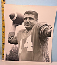 1959 Team Release Photo Earl Morrall Detroit Lions In Passing Pose