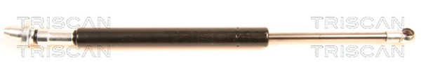 Triscan Gasfeder Heckscheibe 8710 38217 FüR CitroËN C5 1 Break 2 Hdi RE9HYB 16V-image