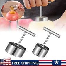 Fruit Corer Removal Tool Remover Fruits Pear Pitter and Vegetable Extractor US