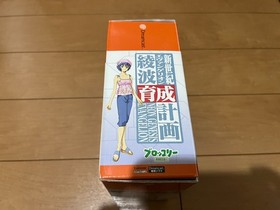 Evangelion Ayanami ikusei Japan DreamCast Sega DC with Box,manual Mouse other