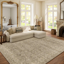 Machine Washable Rugs for Living Room: 6X9 Area Rugs for Bedroom Vintage Stain R