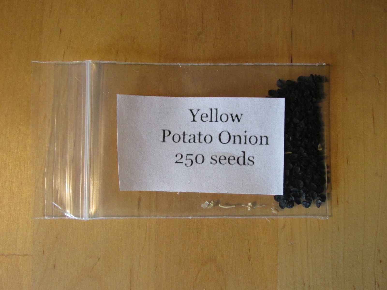 Yellow Potato Onion seeds Heirloom Organic Multiplier Onions eBay