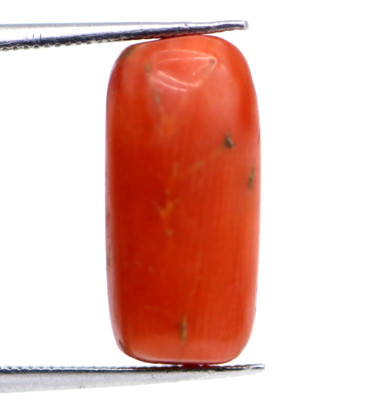 4.40 Ct natural Coral Loose Capsule Cabochon Italy Mined Saffron Red Gemstone