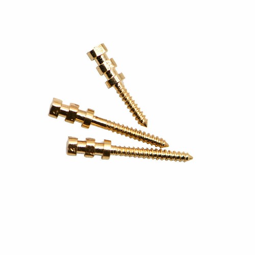 Dental Threrapy Stainless Steel Golden Plated Screw Post Pins 15Pc 24K BM 1.4 - 第 5/7 張圖片