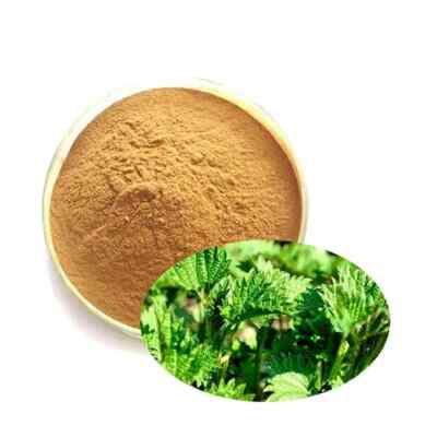 500g Stinging Nettle Leaf Extract powder 30:1