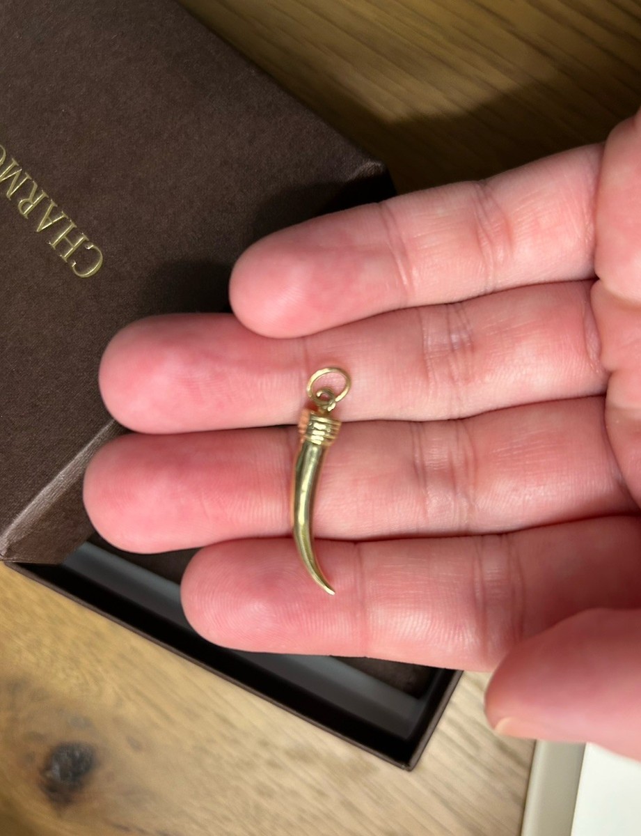 Charmco 14K Solid Yellow Gold Horn Charm View 3