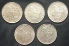Silver Morgan Dollar  1888p, 1884o, 1883p, 1881s, 1881p Lot of 5 Coins