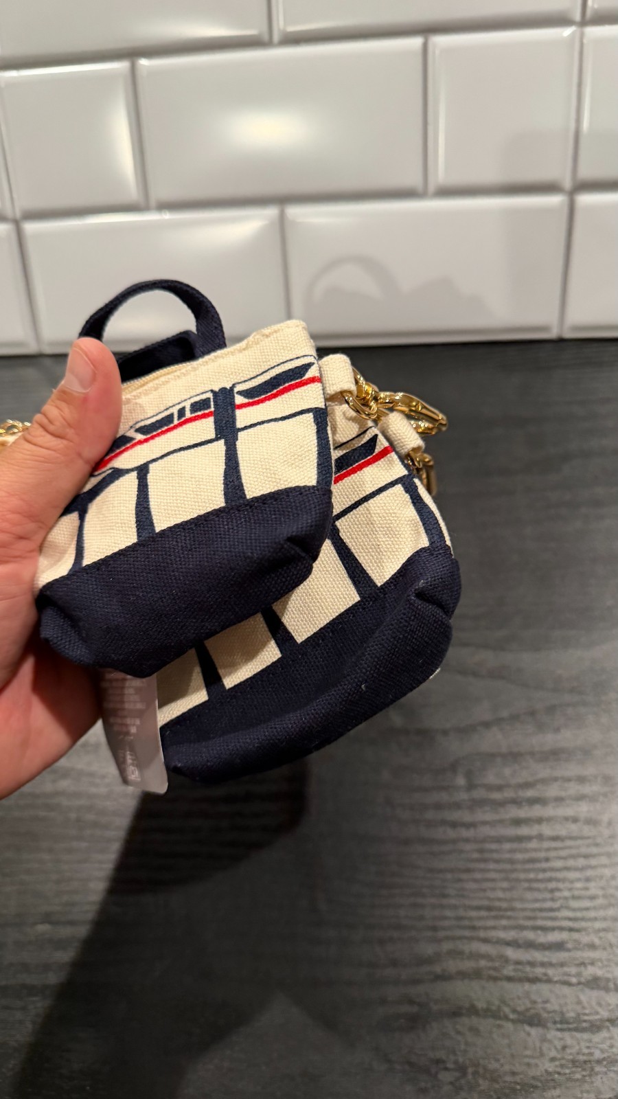 Walt Disney World Monorail Canvas Mini Tote Bag Keychain / Coin Pouch - NEW