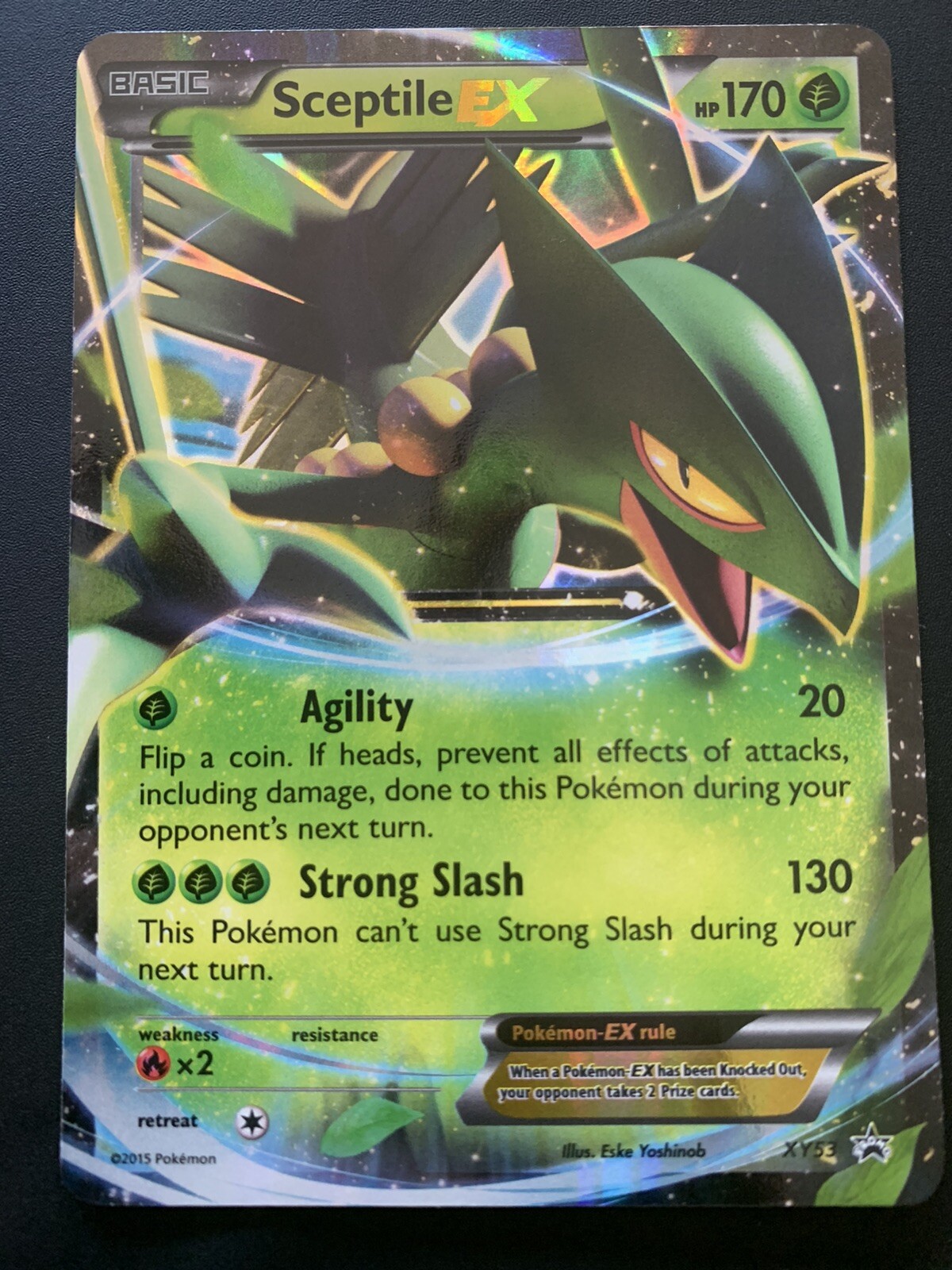 Sceptile EX XY53 Black Star Promo Full Art Ultra Rare Pokémon XY Promo - NM/M