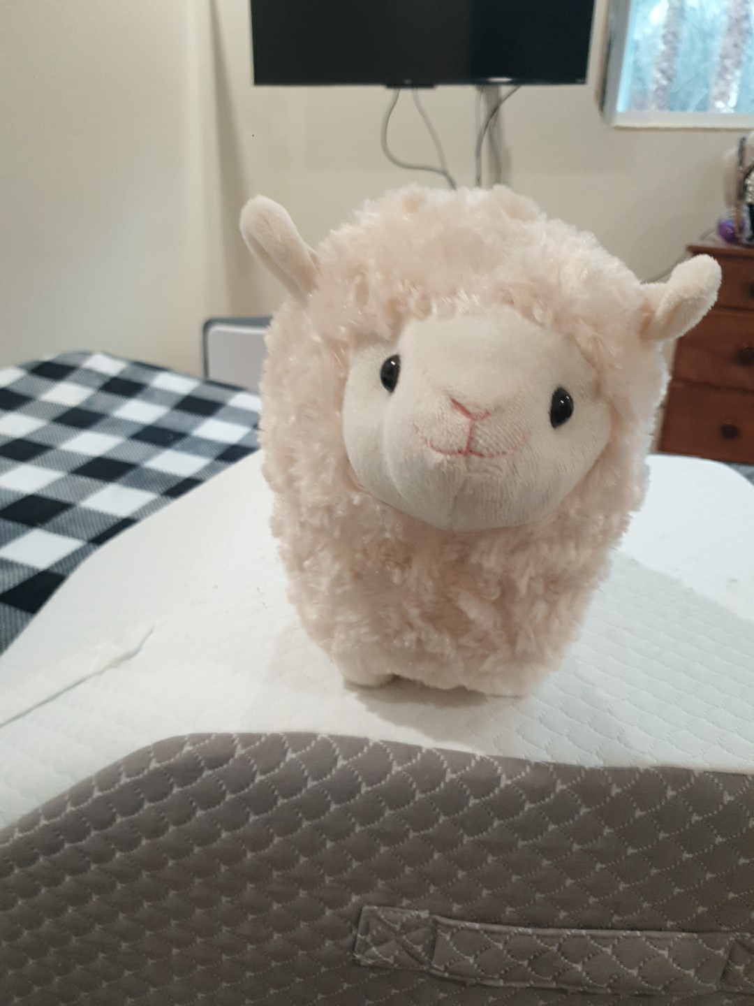 Kellytoy Lamb or Sheep Plush 10