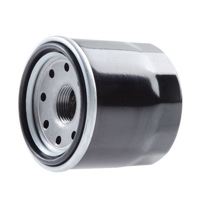 Neutron Oil Filter For Honda Fury VT1300CX 2010-2016,2018-2020 | eBay