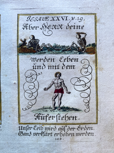 Alkolor spiritual emblem copperplate Bodenehr snake death devil Rebus 1699 - Picture 4 of 4