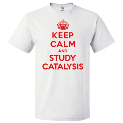 Keep Calm and Study Catalysis T shirt Funny Tee
