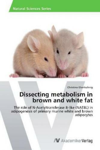Thumbnail - Dissecting Metabolism In Brown And White Fat The Role Of